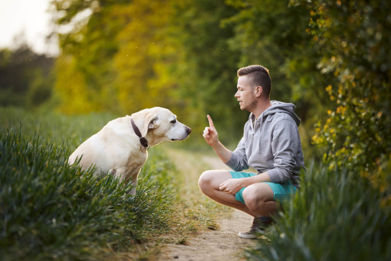 Et øyeblikk av harmoni og tillit mellom hund og eier.